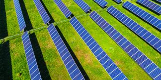 Portrait du développement durable